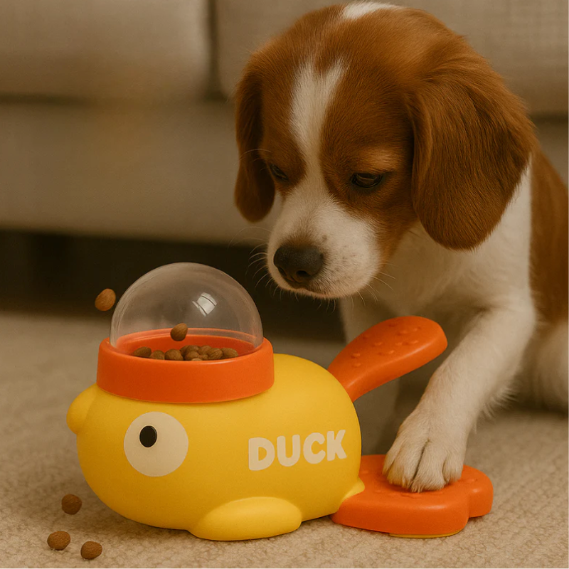 Ducksy