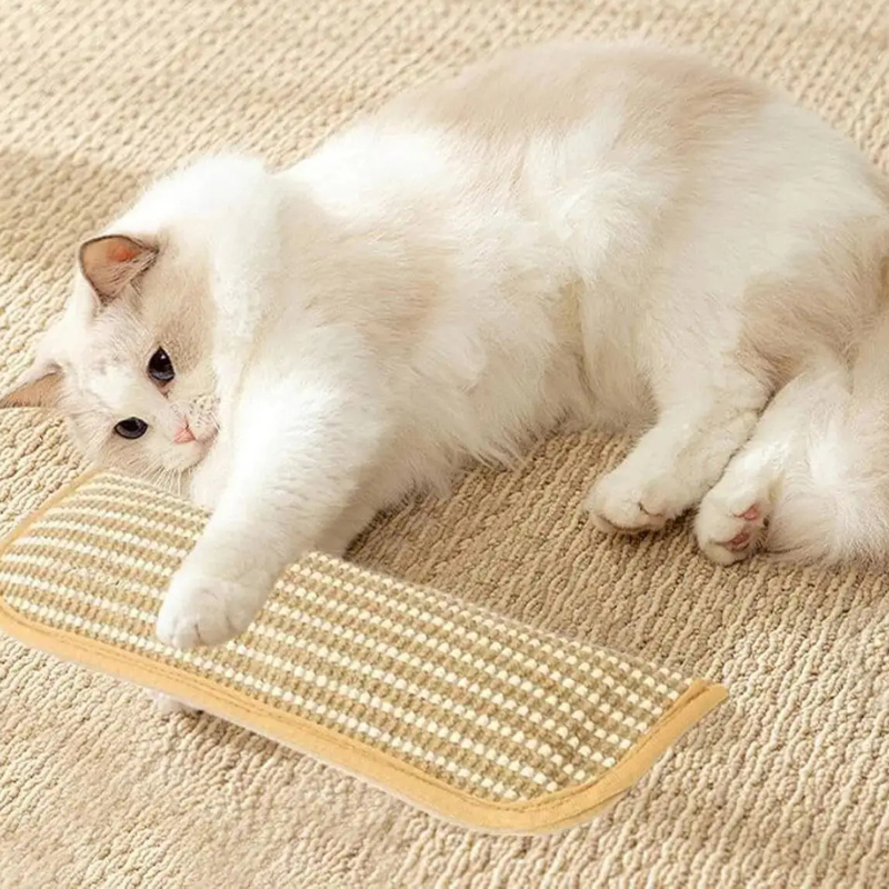ClawCuddle